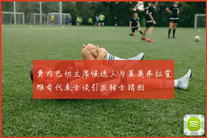 费内巴切主席候选人与莱奥弗拉霍维奇代表会谈引发转会猜测