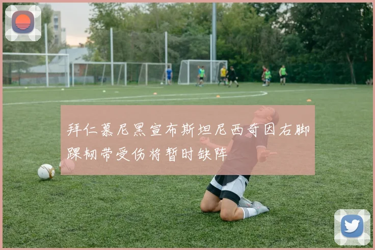 拜仁慕尼黑宣布斯坦尼西奇因右脚踝韧带受伤将暂时缺阵