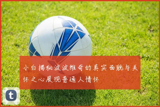 小白揭秘波波维奇的真实面貌与关怀之心展现普通人情怀